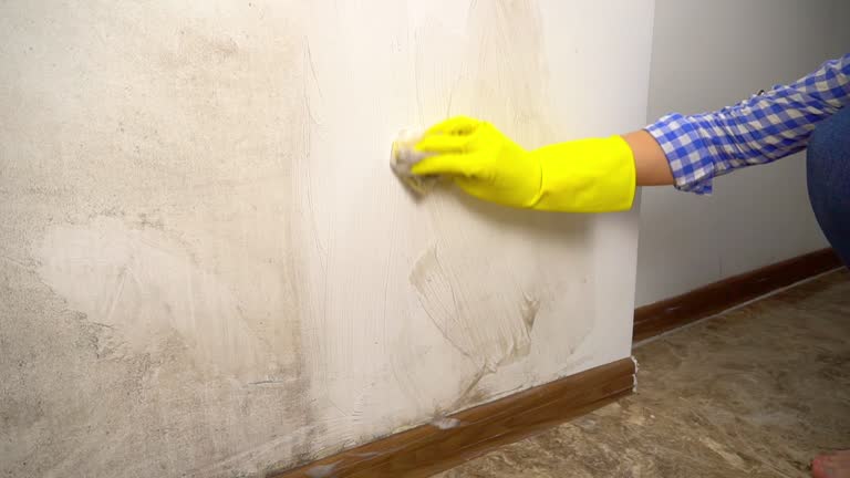 Best Post-Remediation Verification Testing  in Hebron, PA