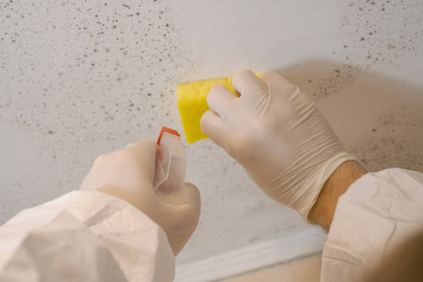 Best Indoor Air Quality Assessment  in Hebron, PA